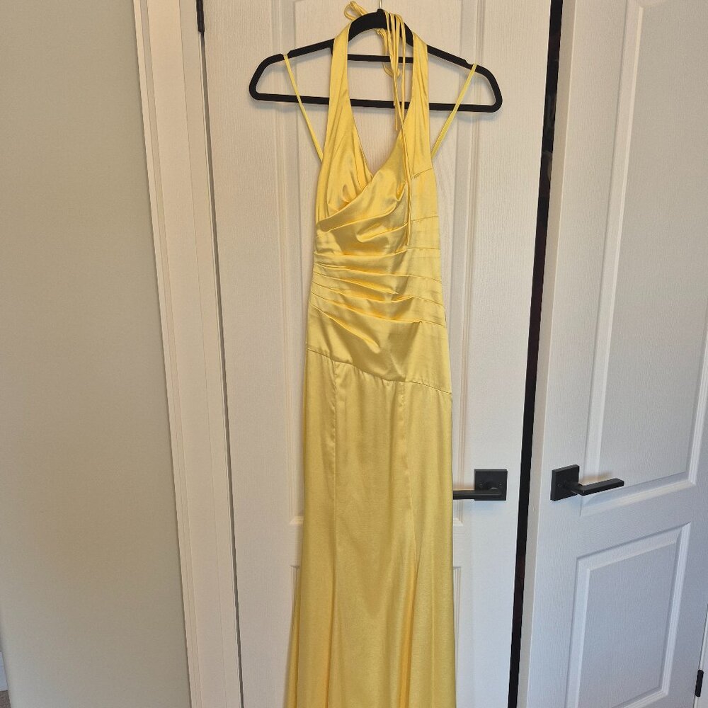 **Stunning** Le Chateau Special Event/Wedding/Grad Dresses